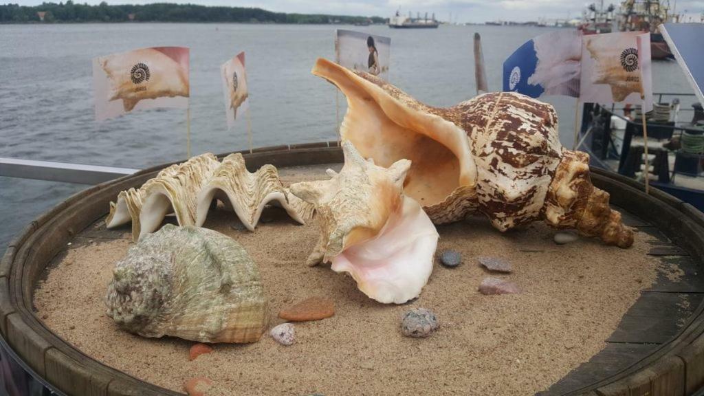 Kastonu Apartamentai Klaipėda Buitenkant foto
